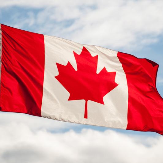 CDCP Dentist in Scarborough